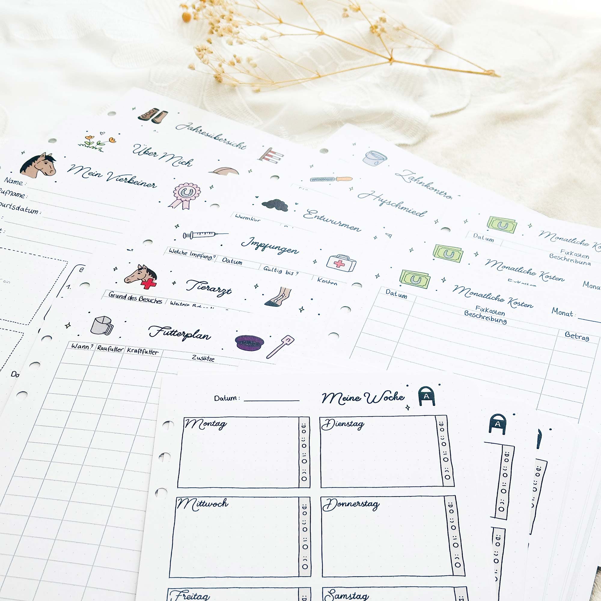 Komplett Set - Ringbuch + ALLE Einlagen