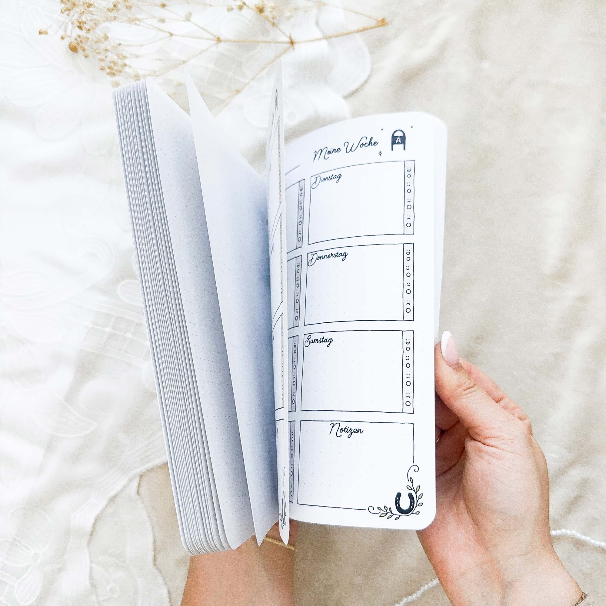 Komplett Set - Ringbuch + ALLE Einlagen