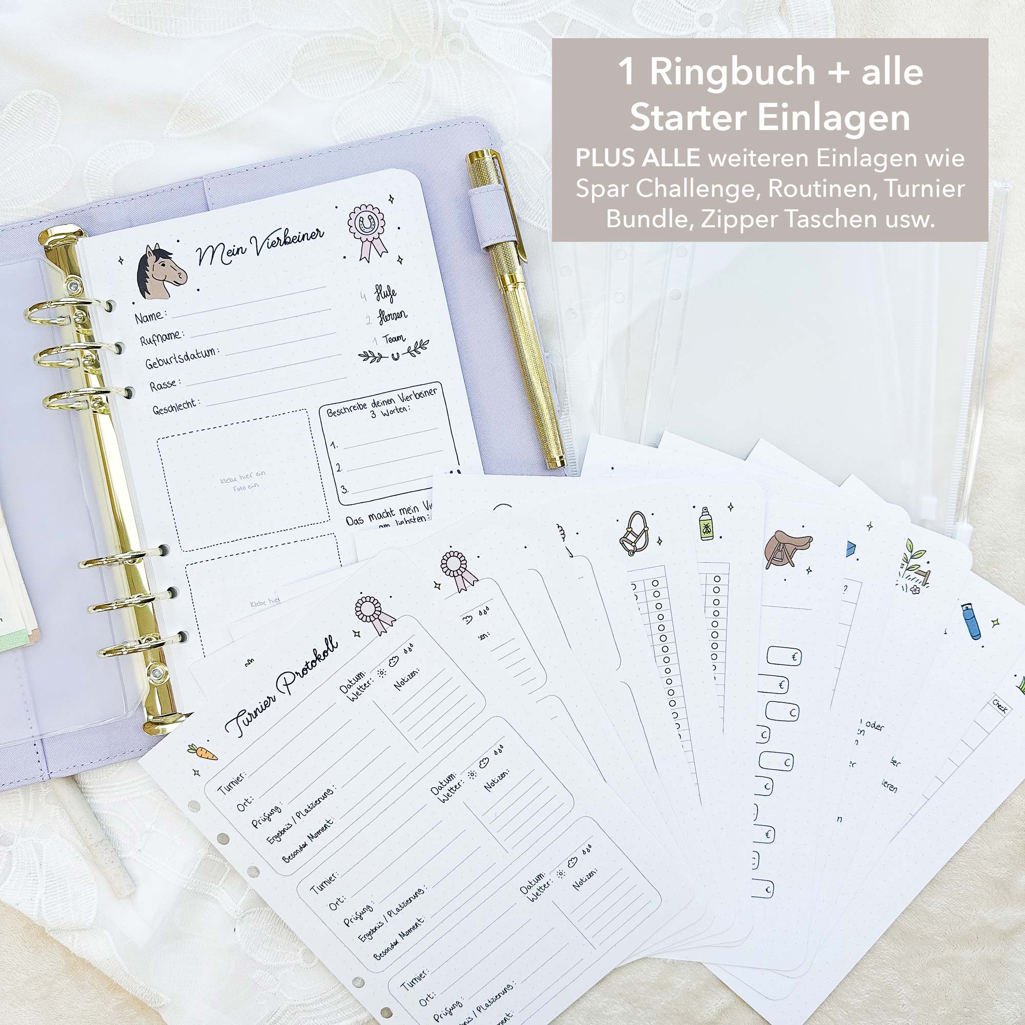Komplett Set - Ringbuch + ALLE Einlagen