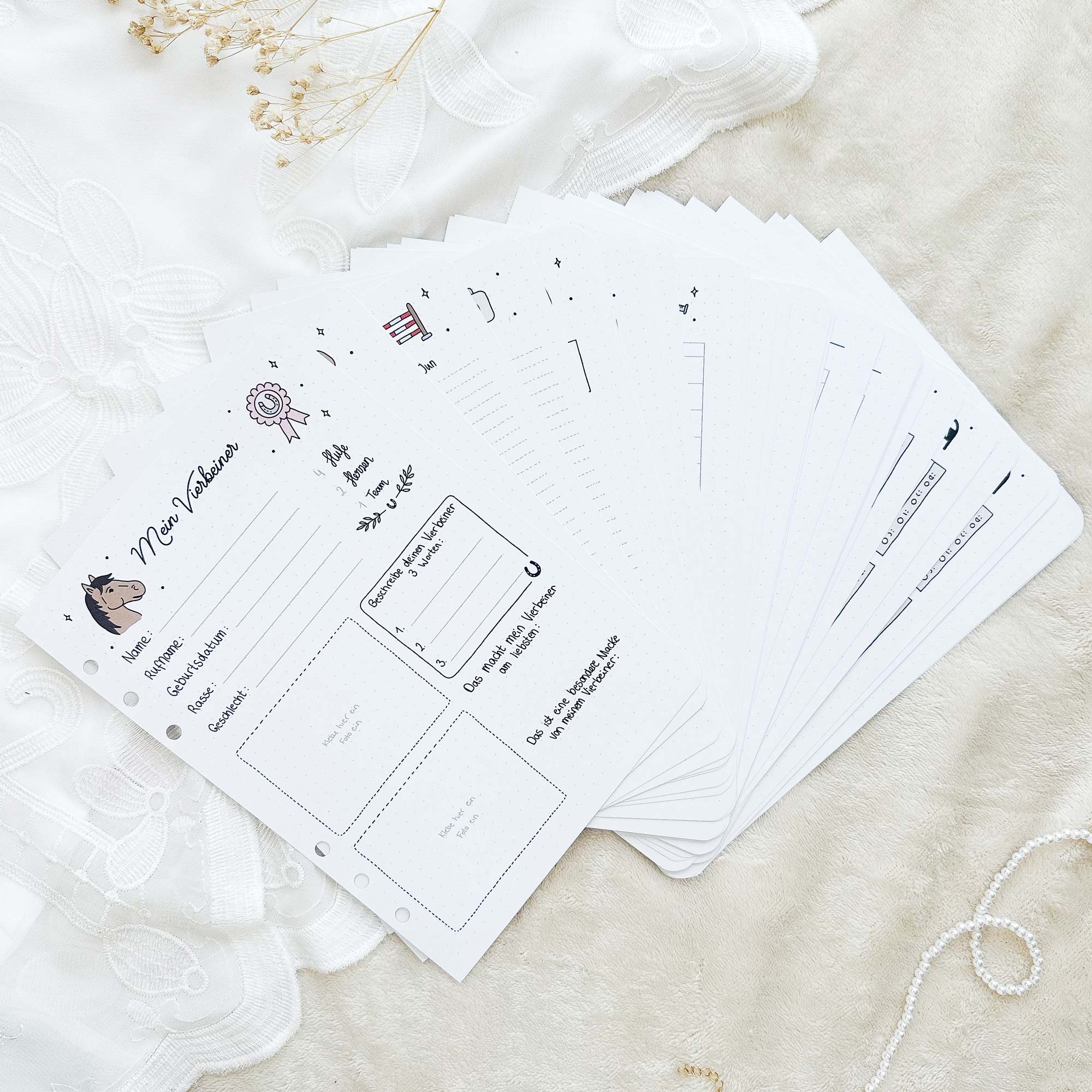 Starter Set - Ringbuch + Einlagen