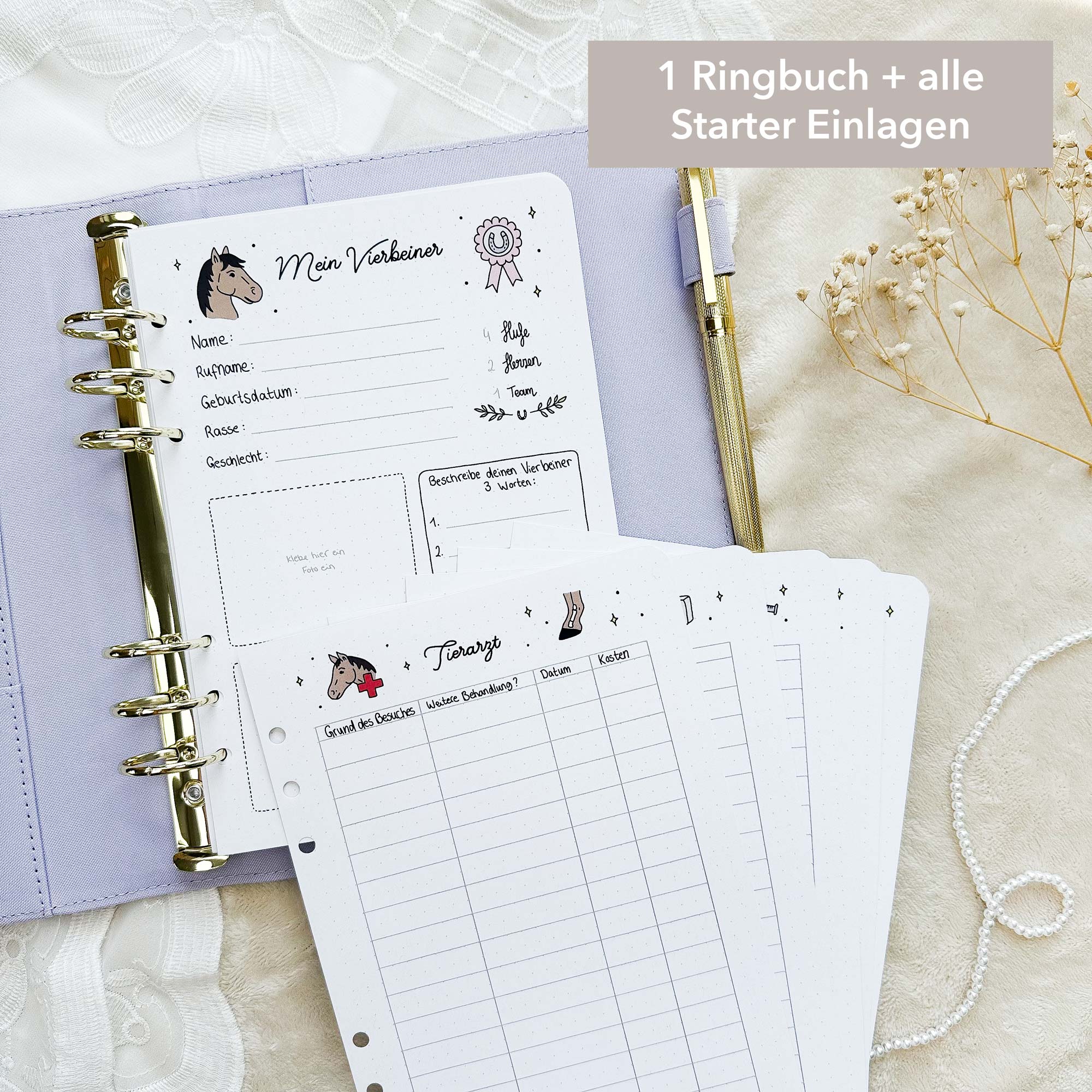 Starter Set - Ringbuch + Einlagen