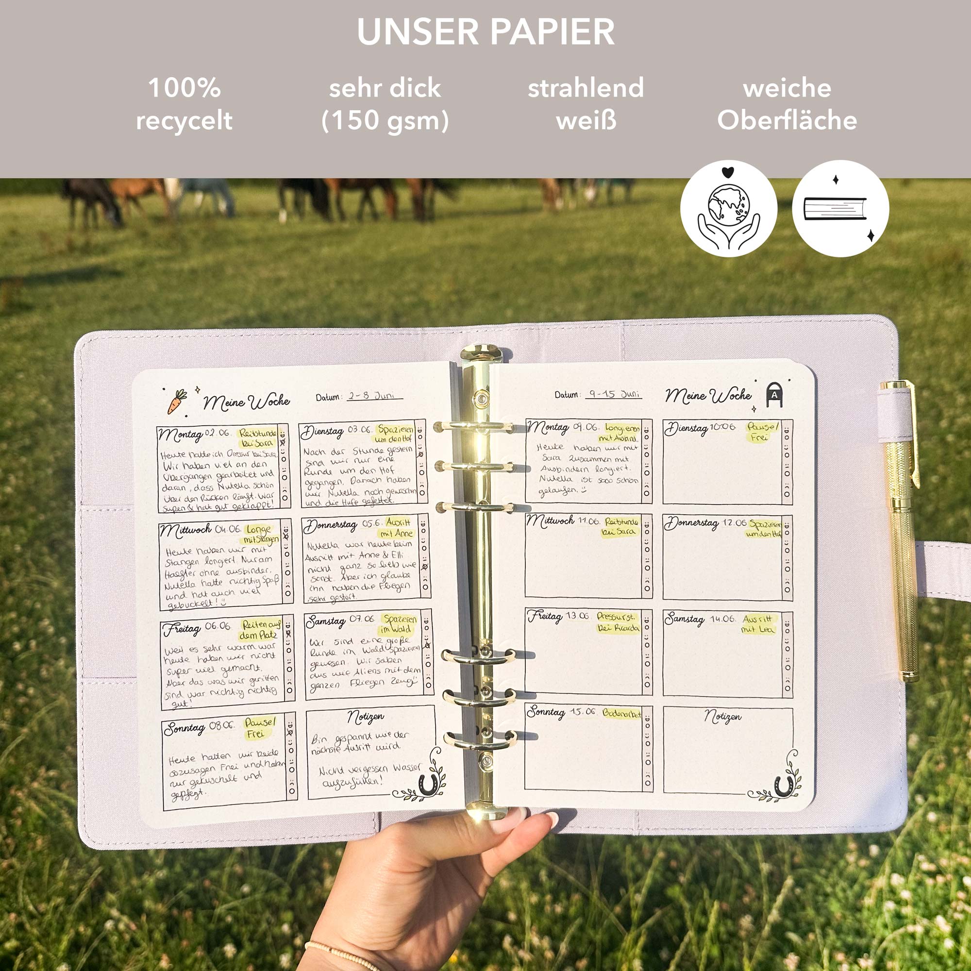 Ringbuch Cover -  Leinen - Rosa